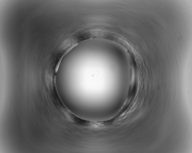 X0000087640333200705101052