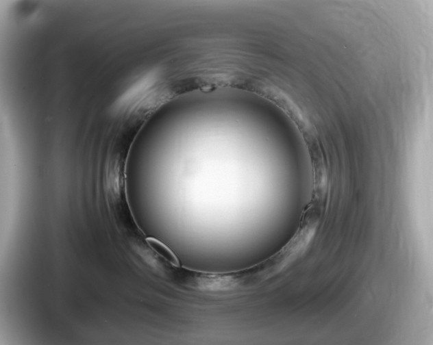 X0000087640334200705101052