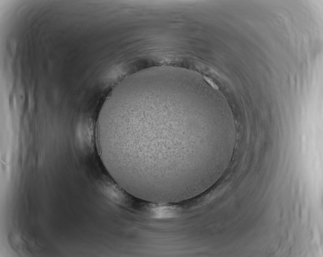 X0000087640336200705101052