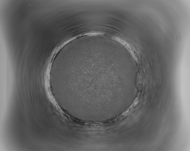 X0000087640337200705101052