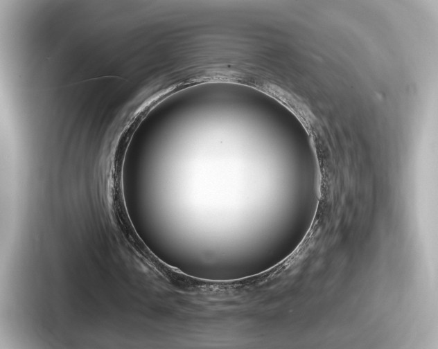 X0000087640338200705101052