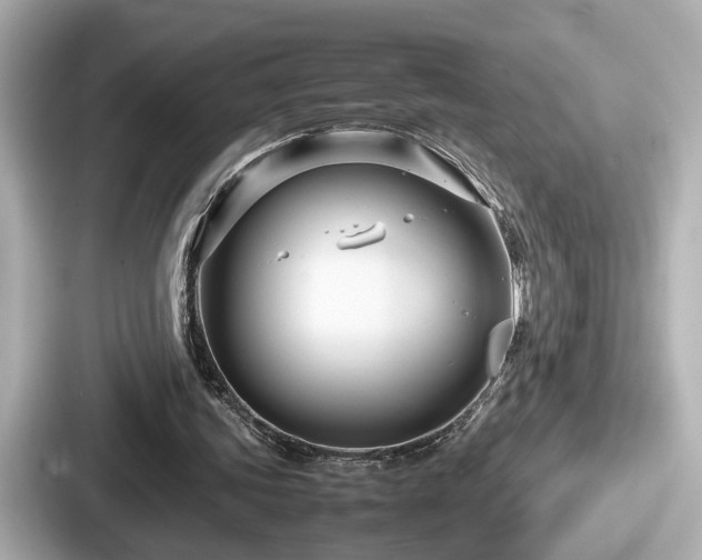 X0000087640339200705101052