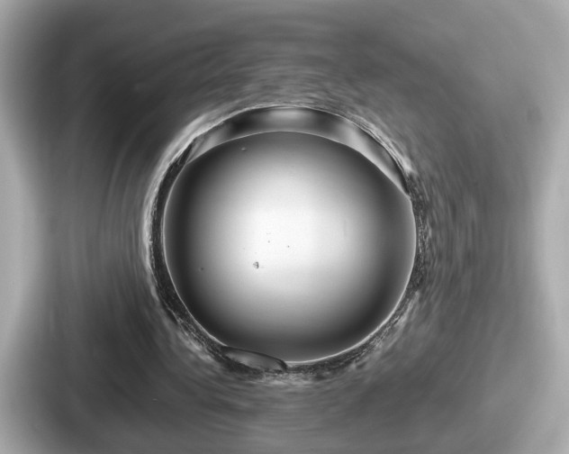 X0000087640340200705101052