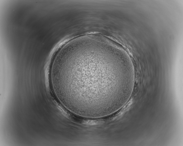 X0000087640341200705101052