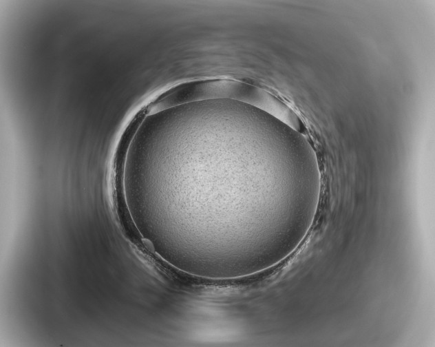 X0000087640342200705101052