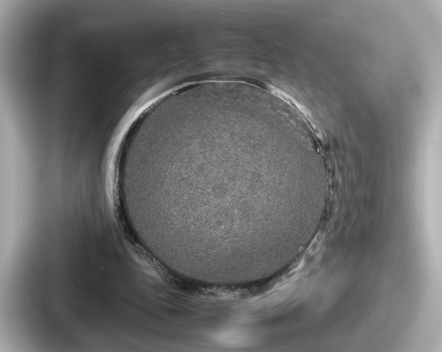 X0000087640343200705101052