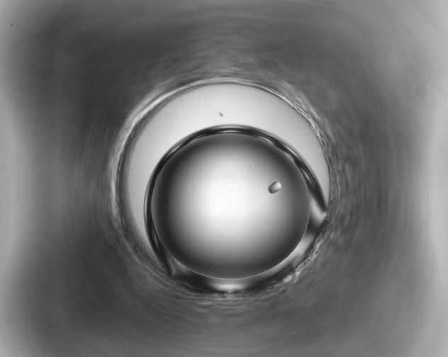 X0000087640344200705101052