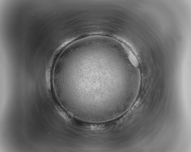 X0000087640345200705101052