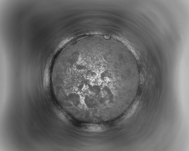 X0000087640347200705101052