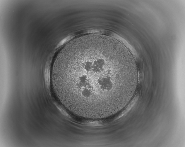 X0000087640349200705101052