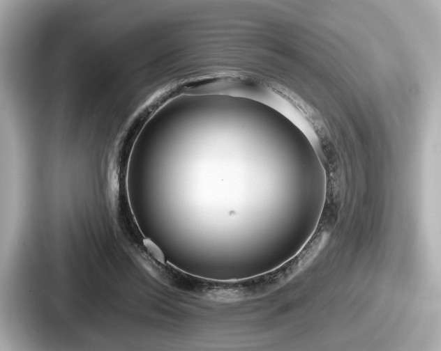 X0000087640350200705101052