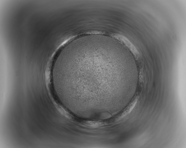 X0000087640351200705101052