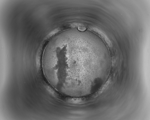 X0000087640353200705101052