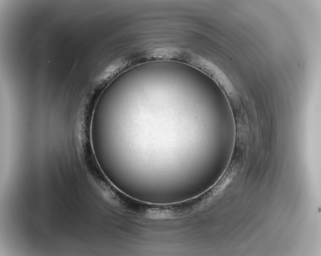 X0000087640354200705101052