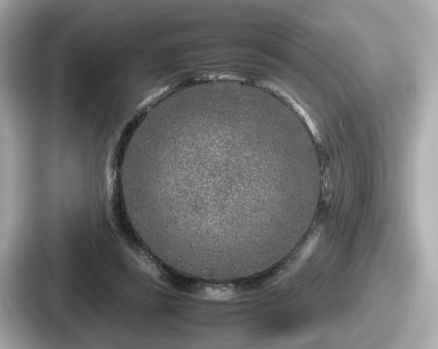 X0000087640355200705101052