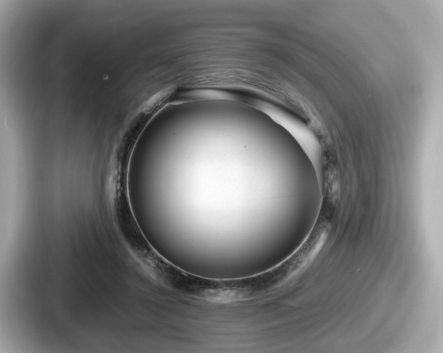 X0000087640356200705101052