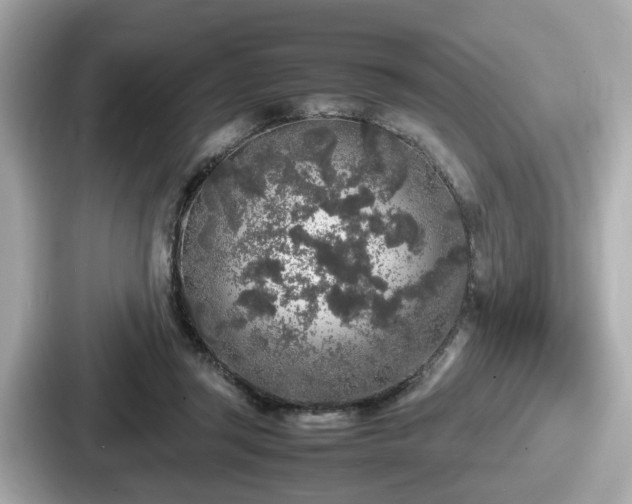 X0000087640357200705101052