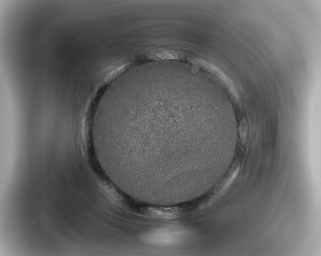 X0000087640359200705101052