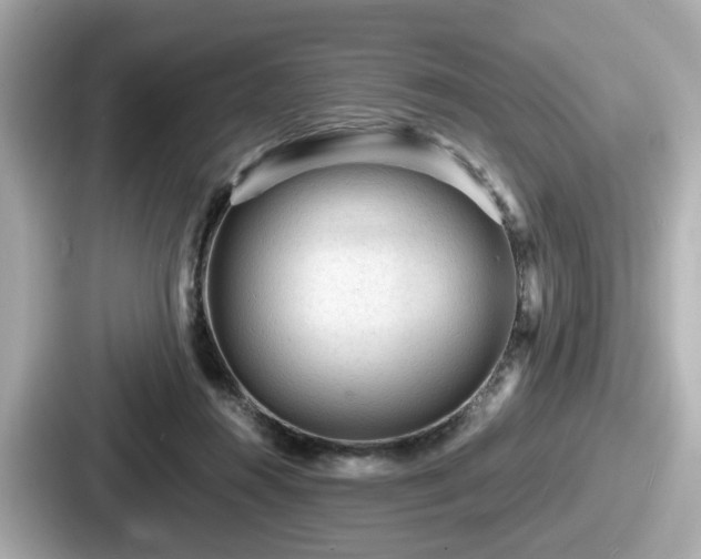 X0000087640360200705101052