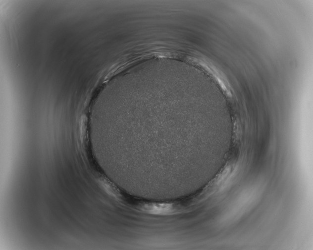 X0000087640361200705101052