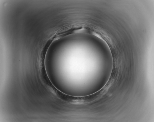 X0000087640362200705101052