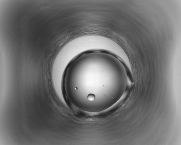 X0000087640364200705101052