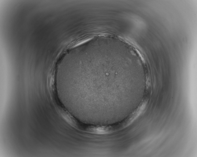 X0000087640365200705101052