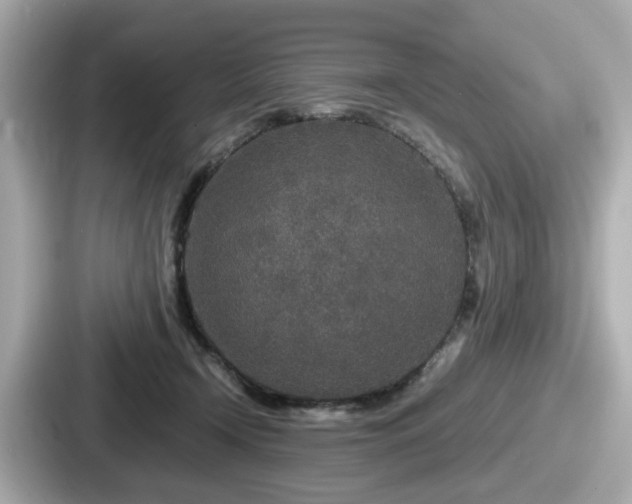 X0000087640366200705101052