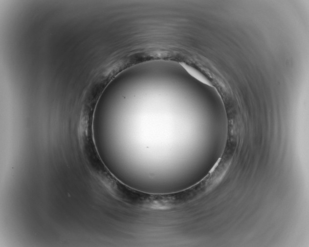 X0000087640368200705101052