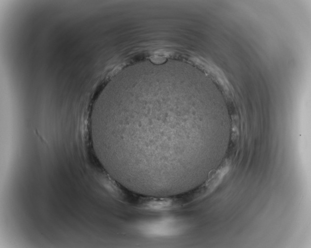 X0000087640369200705101052