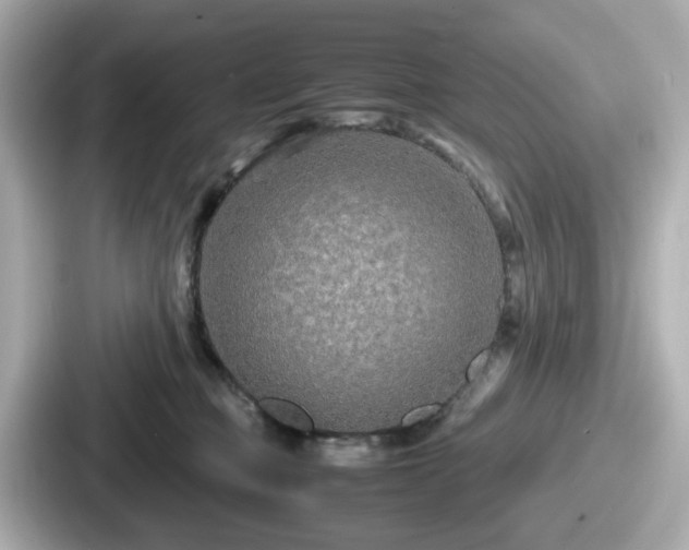 X0000087640373200705101052