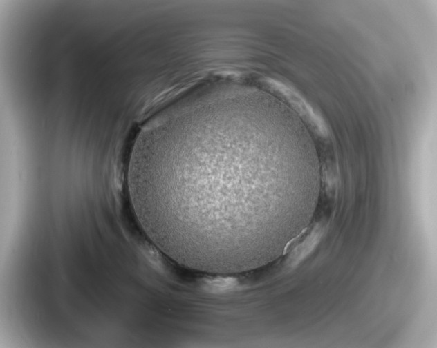 X0000087640374200705101052