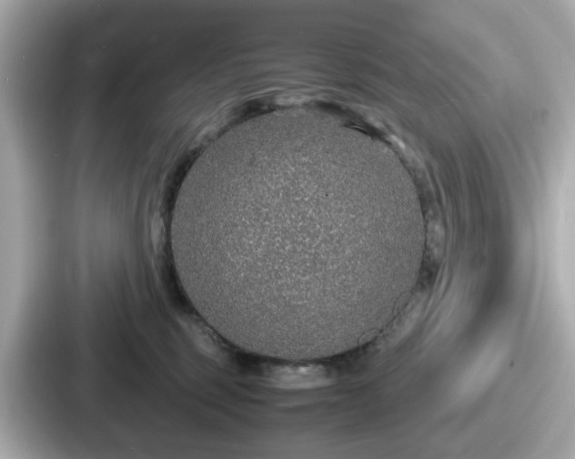 X0000087640375200705101052