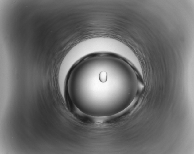 X0000087640376200705101052