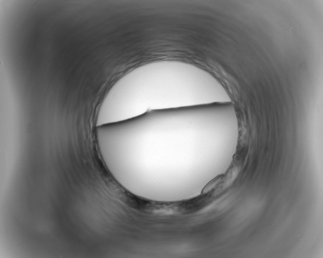 X0000087640377200705101052