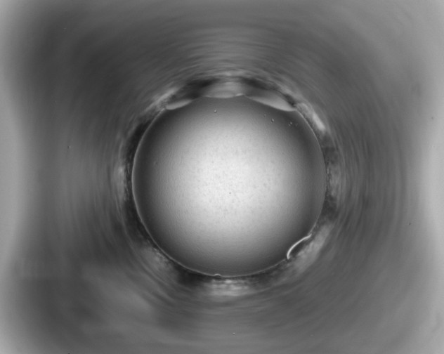 X0000087640378200705101052