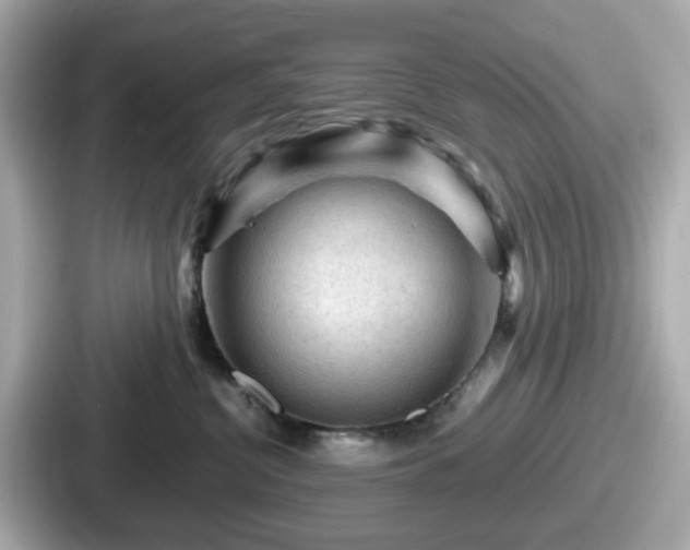 X0000087640380200705101052