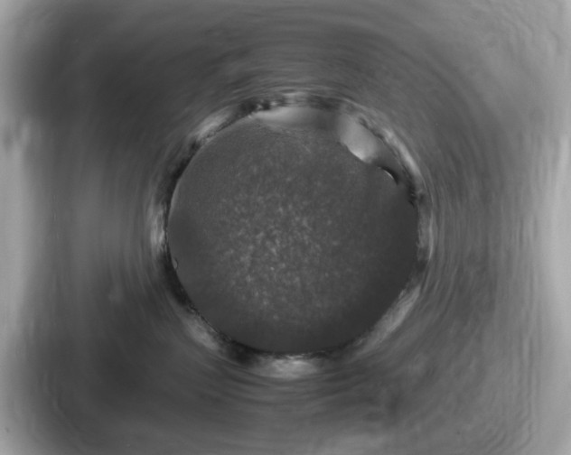 X0000087640383200705101052