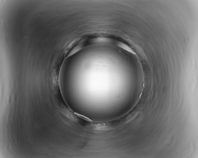 X0000087640384200705101052