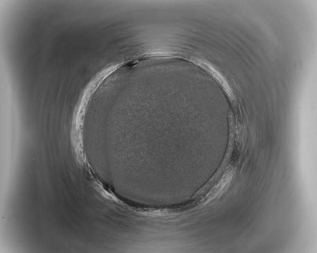 X0000087640385200705101052