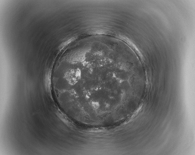 X0000087640386200705101052