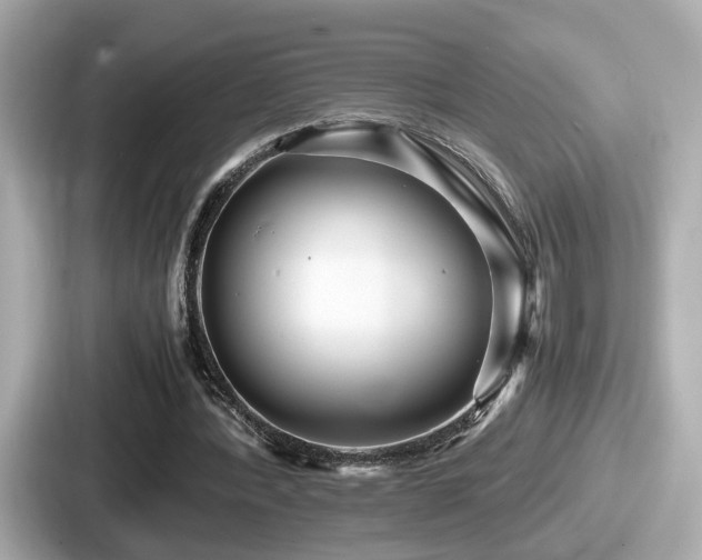 X0000087640388200705101052