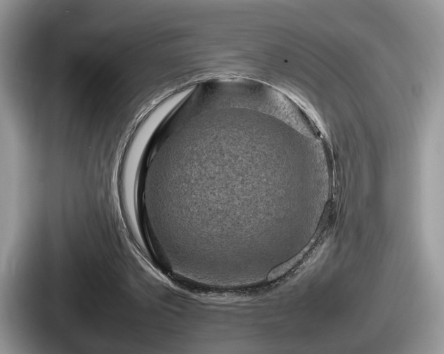 X0000087640389200705101052