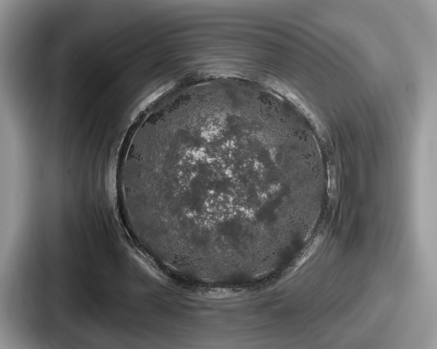 X0000087640390200705101052