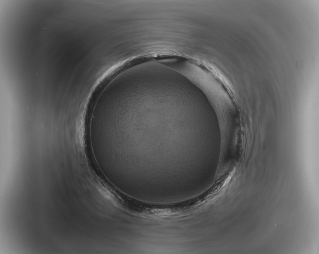 X0000087640391200705101052