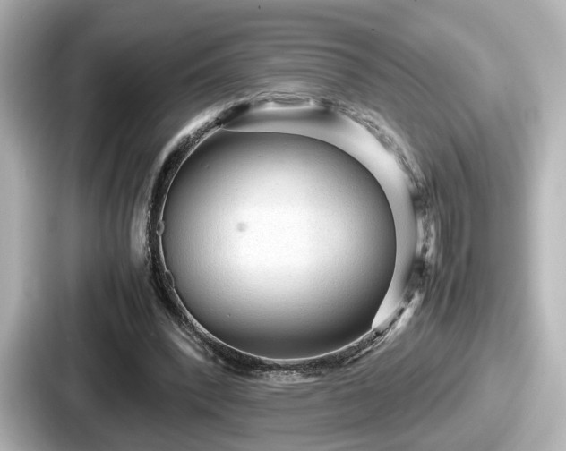 X0000087640392200705101052