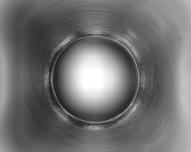 X0000087640394200705101052