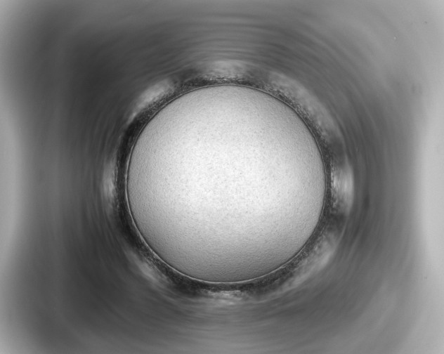 X0000087640396200705101052