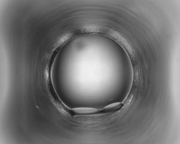 X0000087640398200705101052