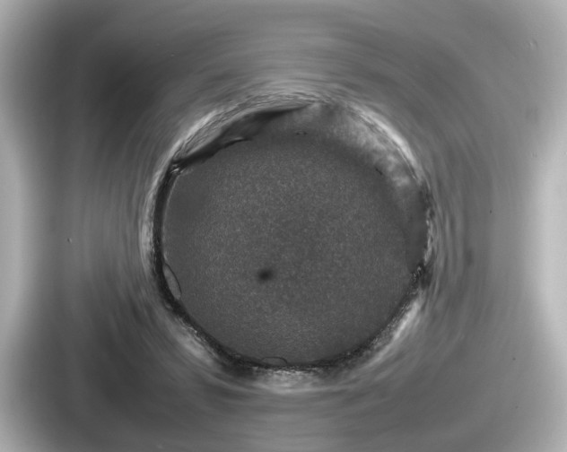 X0000087640399200705101052